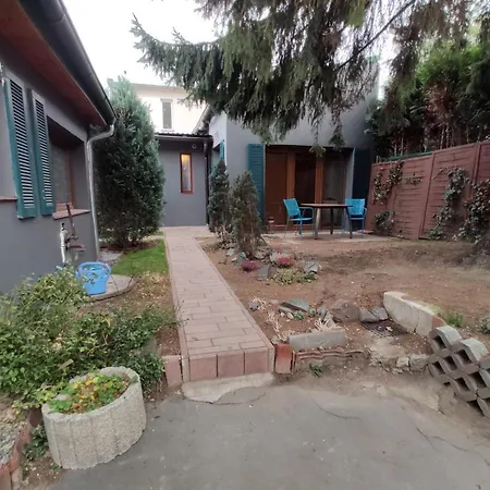 Backyard *